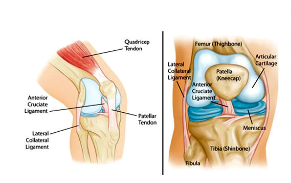 KNEE PAIN INFORMATION SHEET