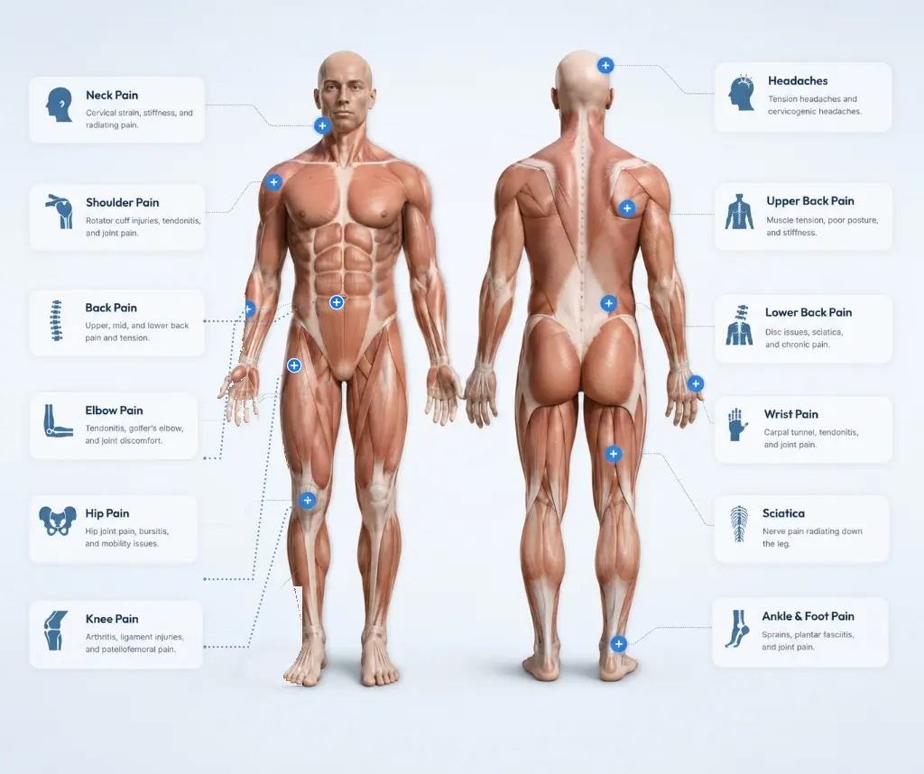 Lumbar Spine, Facet Joint & Caudal Space